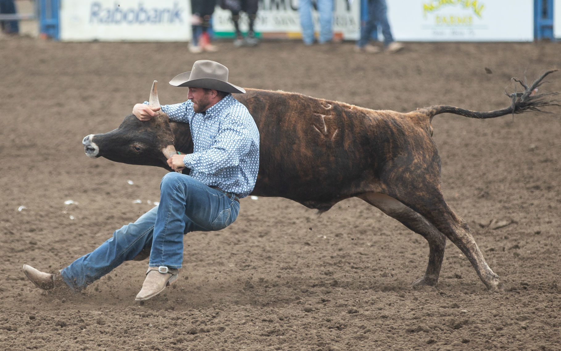 060219 Elks Rodeo Sunday 24.jpg